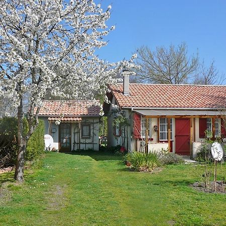 Guesthouse La Burle Parentis-en-Born Rum bild