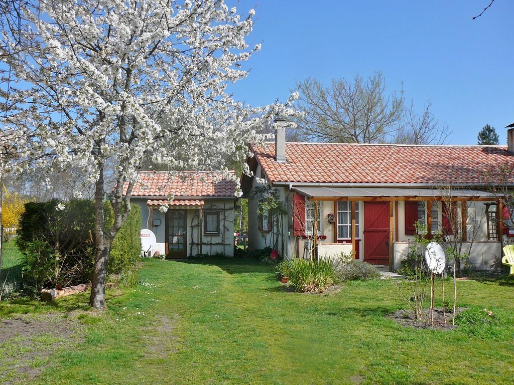 Guesthouse La Burle Parentis-en-Born Rum bild