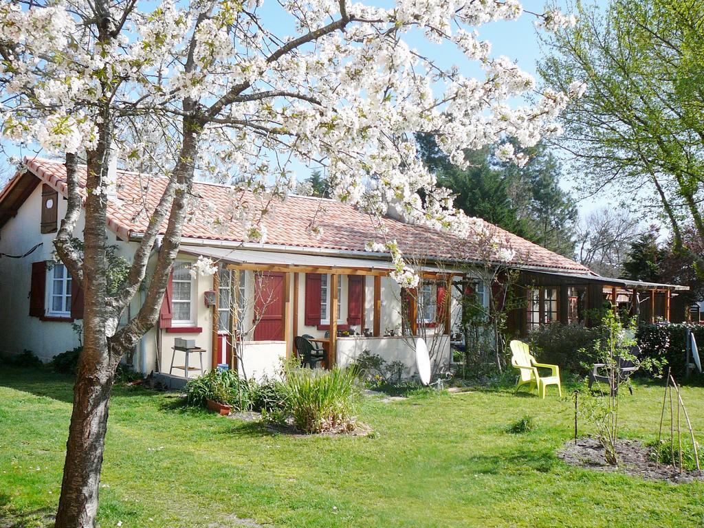 Guesthouse La Burle Parentis-en-Born Rum bild