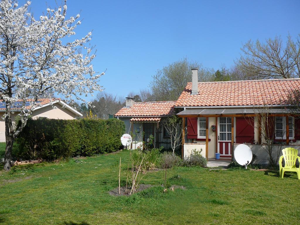 Guesthouse La Burle Parentis-en-Born Rum bild