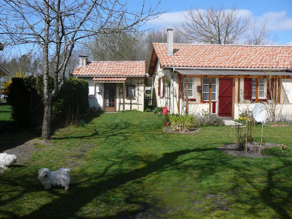 Guesthouse La Burle Parentis-en-Born Rum bild