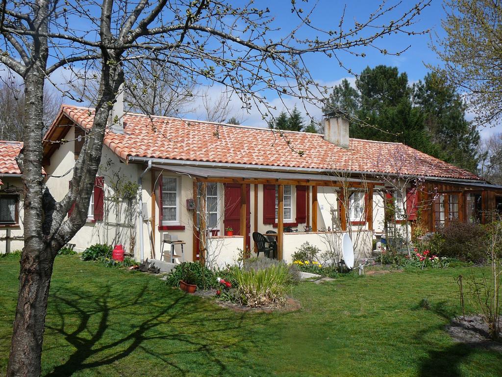 Guesthouse La Burle Parentis-en-Born Rum bild