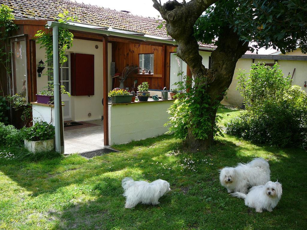 Guesthouse La Burle Parentis-en-Born Rum bild